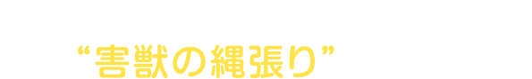 侵入、巣作り、繁殖…家が“害獣の縄張り”になる前に！