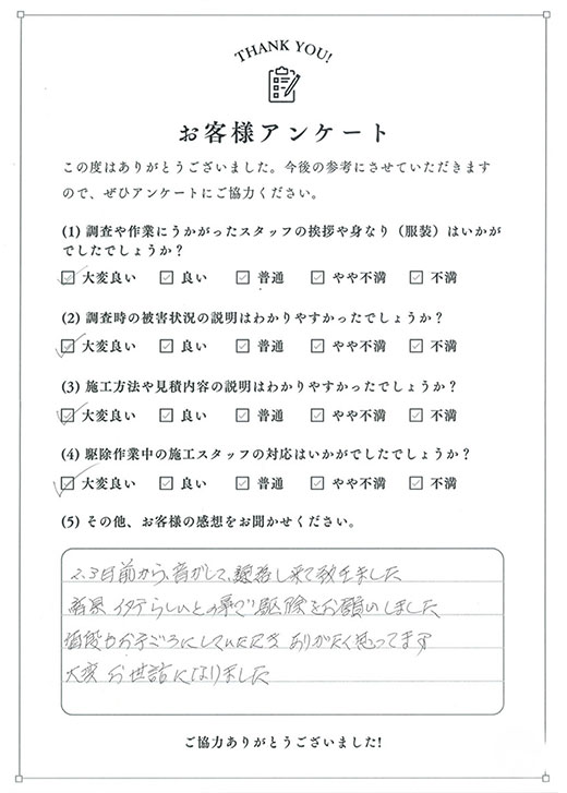 アンケート